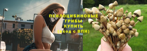 apvp Богданович