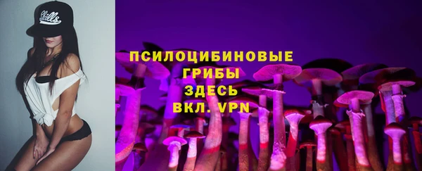 mix Белокуриха